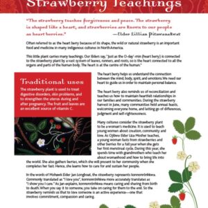 Strawberry Teachings