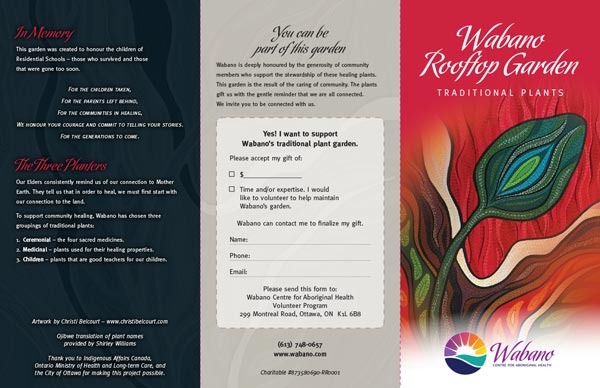 Wabano Rooftop Garden - Traditional Medicine Pamphlet